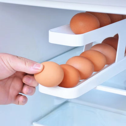 ORGANIZADOR DE HUEVOS